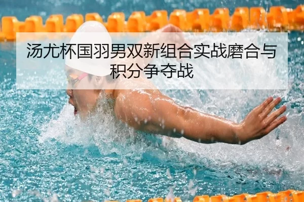 tang-you-bei-guo-yu-nan-shuang-xin-zu-he-shi-zhan-mo-he-yu-ji-fen-zheng-duo-zhan-3-993.jpg